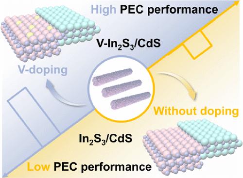 Modulating Built-In Electric Field Strength in an In2S3/CdS Heterojunction via Vanadium Doping for a Photoelectrochemical Immunoassay