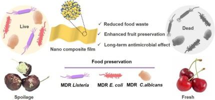 Multifunctional Mg-MOF-74@Carvacrol/Chitin nanofiber-based nanocomposite film for enhanced food packaging