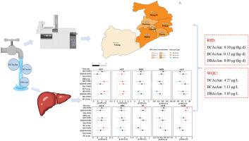 Drinking water quality criteria value estimation for representative haloacetamide disinfection byproducts via a benchmark dose approach based on an association analysis between drinking water exposure and altered liver function in a community population in Wuxi from Jiangsu province
