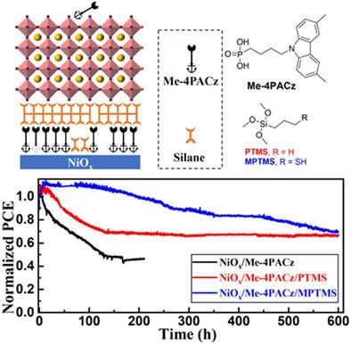Self-Assembled Bilayers with Improved Solvent Resistance for Stable Inverted Perovskite Solar Cells