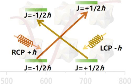 The Carrier Dynamics of Chiral Gold Nanoparticles