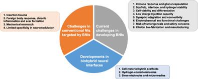 Current Developments and Challenges in the Field of Biohybrid Neural Interfaces—A Scoping Review
