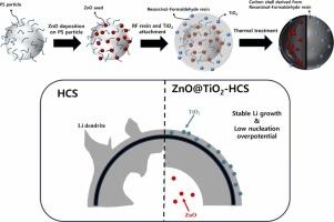 Controlling Lithium Deposition of Hollow Carbon Nanospheres via Lithiophilic-ZnO and Lithiophobic-TiO₂ Engineering for Lithium Metal Anodes in Secondary Batteries