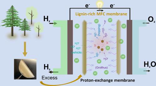 Lignin-Rich Microfibrillated Cellulose: A Sustainable Alternative for Proton Exchange Membranes for Energy Applications