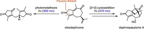 Total Synthesis of Daphnepapytone A
