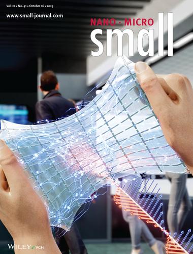 Versatile Liquid Metal Composite Inks for Printable, Durable, and Ultra-Stretchable Electronics (Small 41/2025)