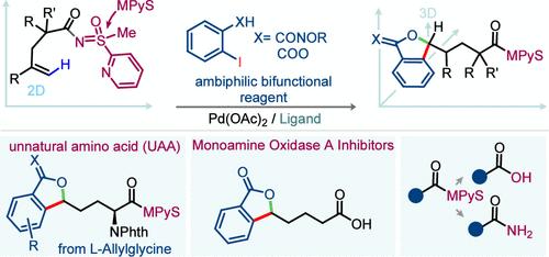Sulfoximine Aided δ-1,1-Cascade Heterocyclization of Unactivated Alkenes