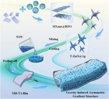 Multifunctional Janus composite films with spontaneous gravity-induced asymmetric gradient for absorption-dominated electromagnetic interference shielding and high-efficiency thermal management