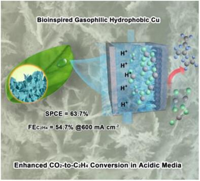 Cavity-Networked Copper Nanocatalysts with Acid-Tolerant Microenvironments for Efficient CO2 Electroreduction to Ethylene