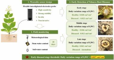 Early in-situ detection of tobacco root diseases using a wearable plant sensor