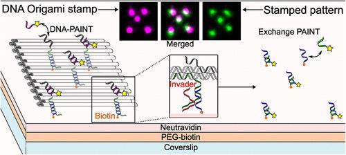 Nanoscale Precise Stamping of Biomolecule Patterns Using DNA Origami