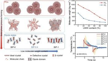 Geometric mismatch of chain lengths enhancing the electrocaloric effect in PVDF