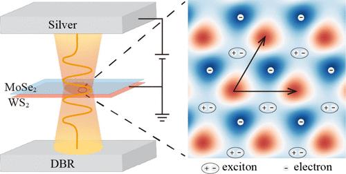 Mott Insulator Polariton in a MoSe2/WS2 Moiré Lattice