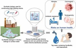 Potential Biosafety Risks of Synthetic Biology Microorganism Leakage in Industry Settings to Drinking Water: A Review