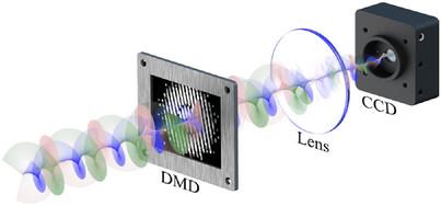 Rapid High‐Dimensional State Tomography Enabled by Spatial Autocorrelation