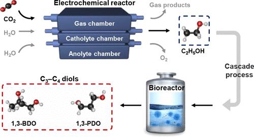 Ultrafast Conversion of CO2 into C3–C4 Diols in a Synergistic Electrochemical and AI-Assisted Biosynthesis System