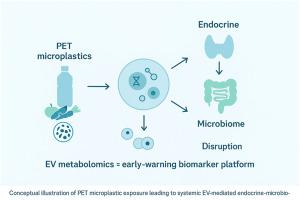 Extracellular vesicles and PET microplastics: Toward a biomarker framework for systemic endocrine–microbiome disruption