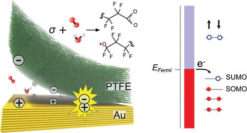 Oxidized Mechanoradicals Drive Triboelectricity in Polytetrafluoroethylene: A First Principle Understanding
