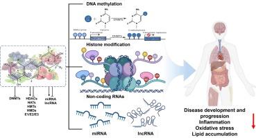 Anthocyanin-mediated epigenetic modifications: a new perspective in health promoting and disease prevention