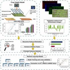 Estimating plant height, nitrogen uptake and above-ground biomass using UAV multispectral imaging coupled with machine learning in industrial hemp (Cannabis sativa L.)