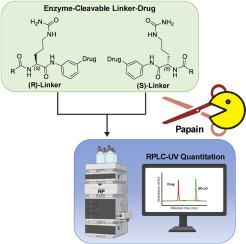 Enzymatic assay based platform for the chiral purity assessment of cathepsin-cleavable antibody-drug conjugate linker-drugs