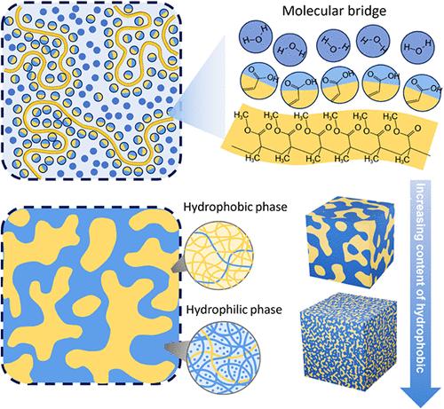 Self-Assembly of Heterogeneous Hydrogels Enabled by Molecular Bridges.