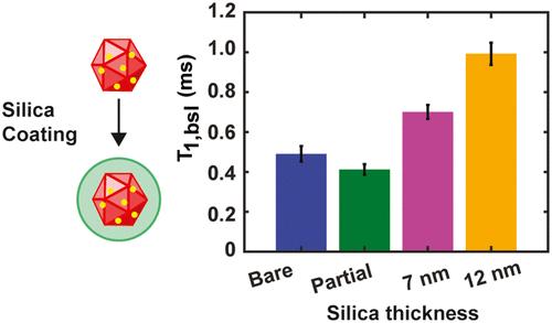 Functionalized Fluorescent Nanodiamonds with Millisecond Spin Relaxation Times