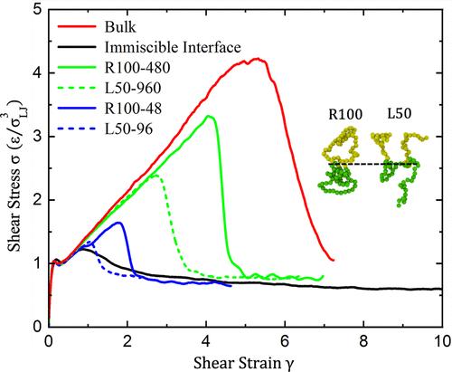 Correction to “Diblock Rings as Topological Adhesives at Immiscible Polymer Interfaces”