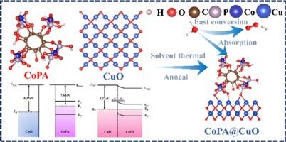 Phase-engineered multiscale synergistic modulation in amorphous-sheathed crystalline electrocatalysts for bifunctional water splitting