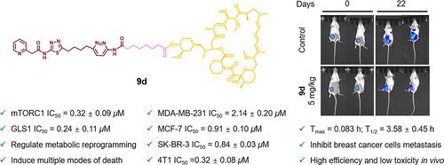 Design, Synthesis, and Biological Evaluation of Rapamycin Derivatives as the First Mammalian Target of Rapamycin and GLS1 Dual Inhibitors