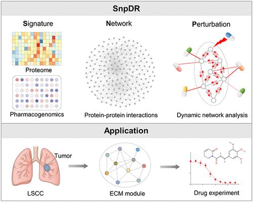 Systems Biology-Based Drug Repositioning Identifies Extracellular Matrix Module as a Therapeutic Target in Lung Squamous Cell Carcinoma