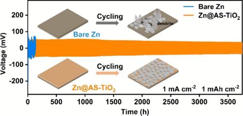 Interfacial Engineering of Amorphous TiO<sub>2</sub> Coatings for Dendrite-Free and Highly Reversible Zinc Metal Anodes.