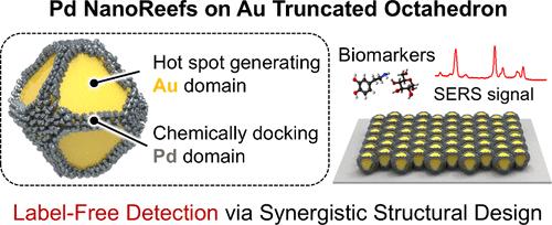 Pd Nanoreefs on Au Truncated Octahedra Nanoprobes for Label-Free Biomolecule Detection via Surface-Enhanced Raman Scattering