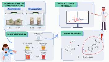 Identification of new selenium compounds produced by edible mushrooms