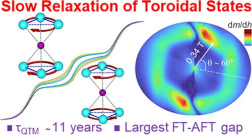 Ultraslow Relaxation of Toroidal State in Ferrotoroidal Dysprosium Complex