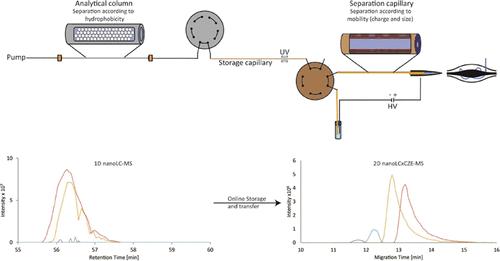 Selective Comprehensive Online NanoLCxCZE-MS Platform for Top-Down Proteoform Analysis