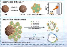 Lanthanum-modified fly ash ceramsite for sustainable waterborne virus inactivation: Performance and mechanism