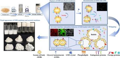 Study on the effect of glycerol monostearate on the properties of sesame oil body-based aerated emulsions and related mechanisms