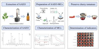 Preparation and characterization of artemisia argyi essential oil microcapsule and its application in postharvest preservation of cherry tomatoes