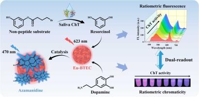 Dual-Readout Analysis of Chymotrypsin Activity Based on Multifunctional Lanthanide Metal-Organic Framework