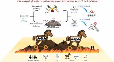 What does the “Trojan horse” carry? Effects of perfluorooctanoic acid on the migration and transformation of sulfur during dyeing sludge incineration
