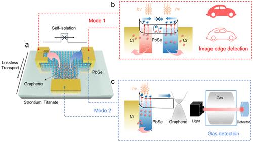 Multitask Multiplexed Switchable Infrared Optoelectronic Detection Based on Band Switch