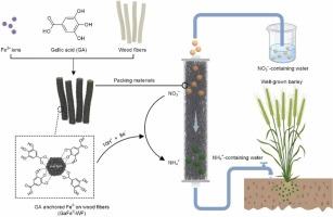 Reducing nitrate into ammonium by Fe0-phenolic network with spatiotemporal proton delivery for food sustainability