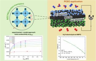Electrochemical characterization and model investigation of BaZr0.625Ce0.2Y0.175O3-δ based proton conductive ceramic cells