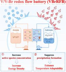 One Stone Two Birds: Enhancing Energy Density and Temperature Adaptability for Vanadium-based Redox Flow Batteries via Dual Active Species Strategy