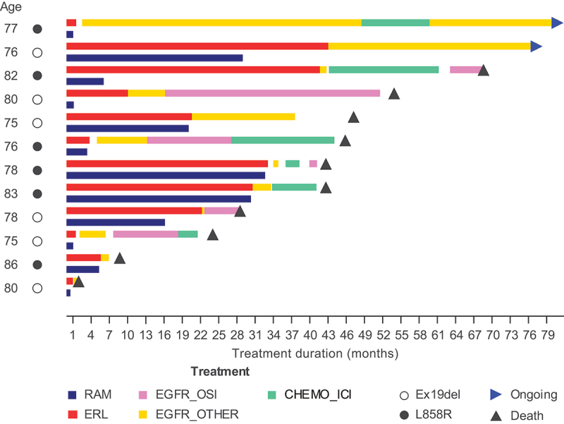 RELAY: safety and efficacy of ramucirumab plus erlotinib in elderly Japanese patients with metastatic <i>EGFR</i>-mutated NSCLC.