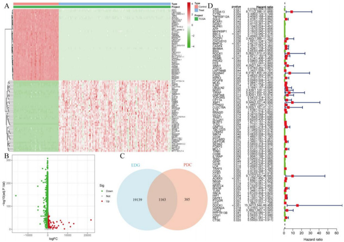 Development and validation of a leukemia prognostic model through single-cell RNA sequencing and machine learning approaches.