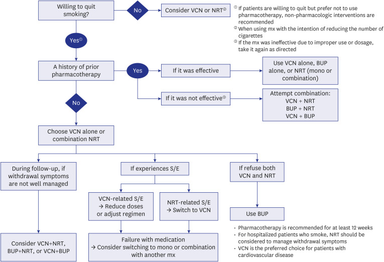 Korean Clinical Practice Guideline of Korean Society for Research on Nicotine and Tobacco (KSRNT) and National Evidence-based Healthcare Collaborating Agency (NECA) on Treatment of Tobacco Use 2024.
