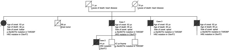 Tracing neuropathological signatures: TARDBP and C9orf72 double mutations in a Sicilian family.