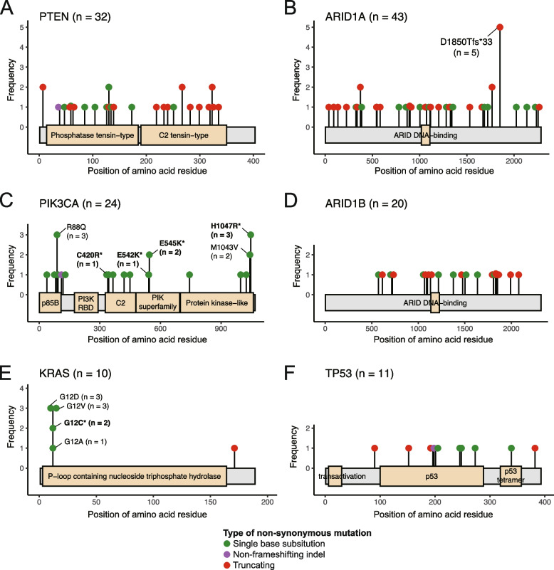 Distinct genomic subgroups and mutational patterns in undifferentiated/dedifferentiated endometrial carcinoma.